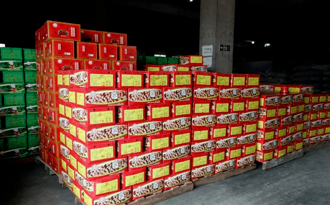 食品厂房建设
